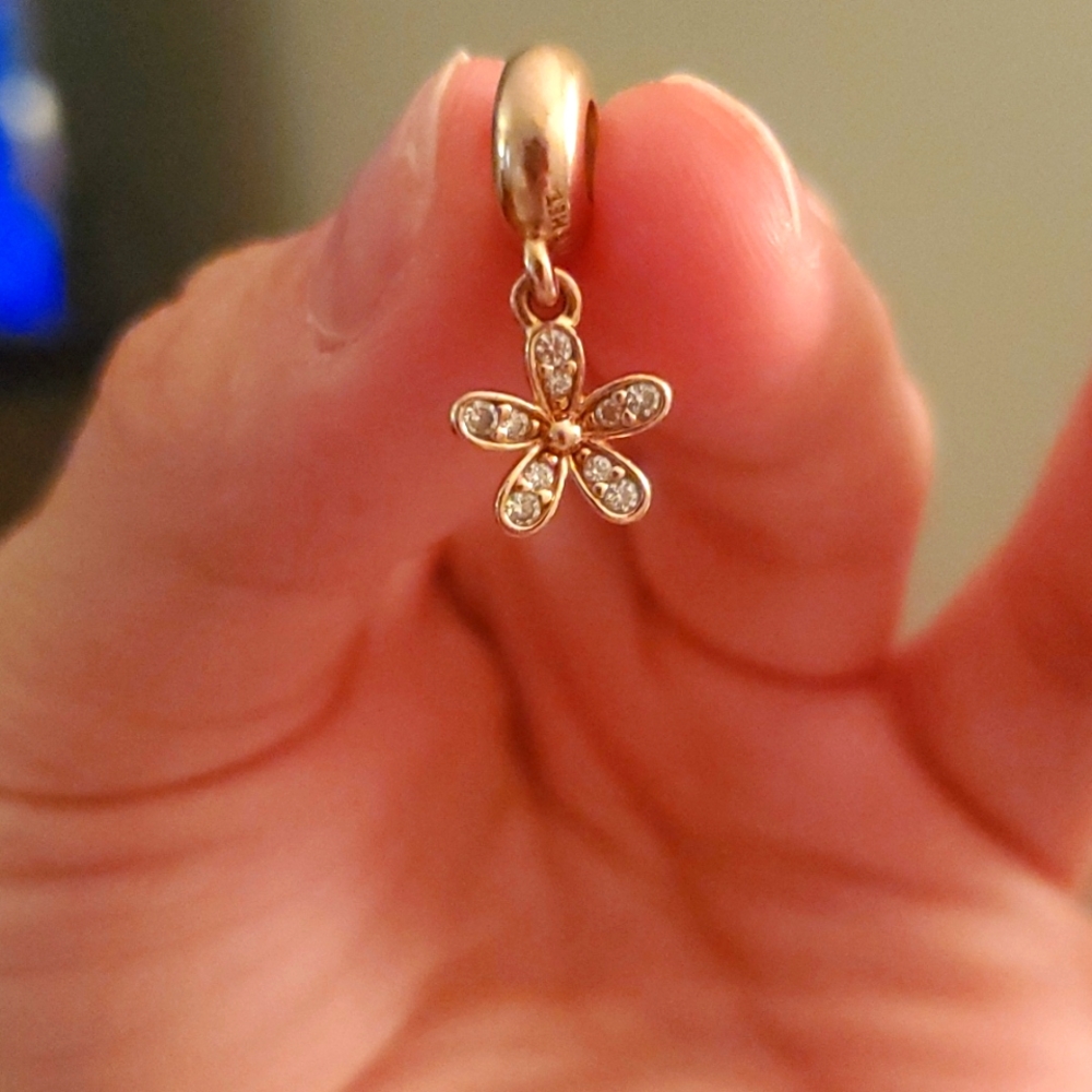 Pandora charm